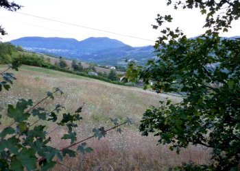 Casa Colonica Via Case Conti, Castiglione dei Pepoli - foto 12