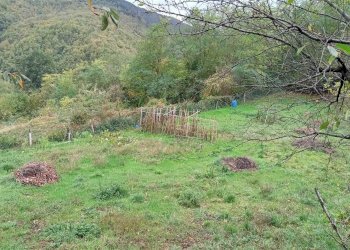 Casa indipendente Via Ca' di Landino 52, Castiglione dei Pepoli - foto 24