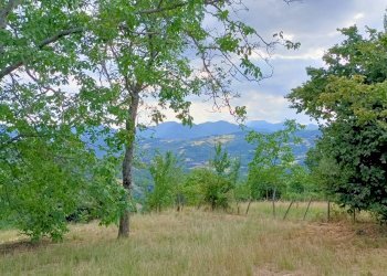 Terratetto - Terracielo Via Docce 22, Camugnano - foto 21