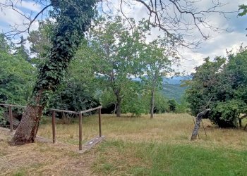 Terratetto - Terracielo Via Docce 22, Camugnano - foto 22