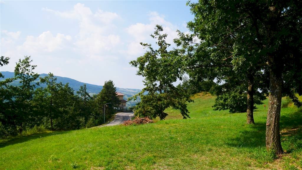 Terreno edificabile Via Provinciale, Castiglione dei Pepoli - foto 1
