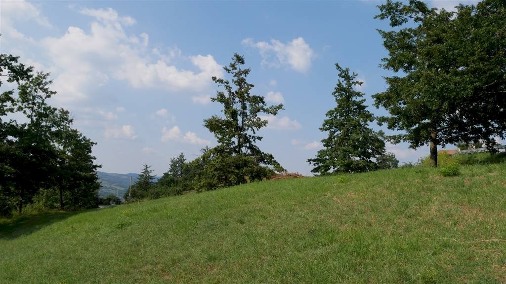 Terreno edificabile Via Provinciale, Castiglione dei Pepoli - foto 3