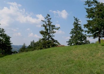 Terreno edificabile Via Provinciale, Castiglione dei Pepoli - foto 3