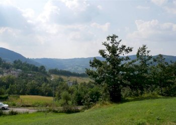 Terreno edificabile Via Provinciale, Castiglione dei Pepoli - foto 4