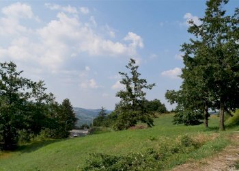 Terreno edificabile Via Provinciale, Castiglione dei Pepoli - foto 5