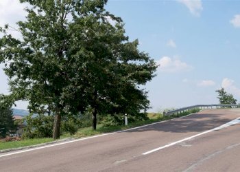 Terreno edificabile Via Provinciale, Castiglione dei Pepoli - foto 6