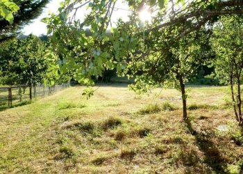 Terratetto - Terracielo Via Poggio 65, Camugnano - foto 1