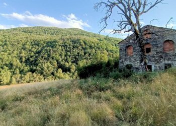 Rustic Mogne Molino, Camugnano - photo 5