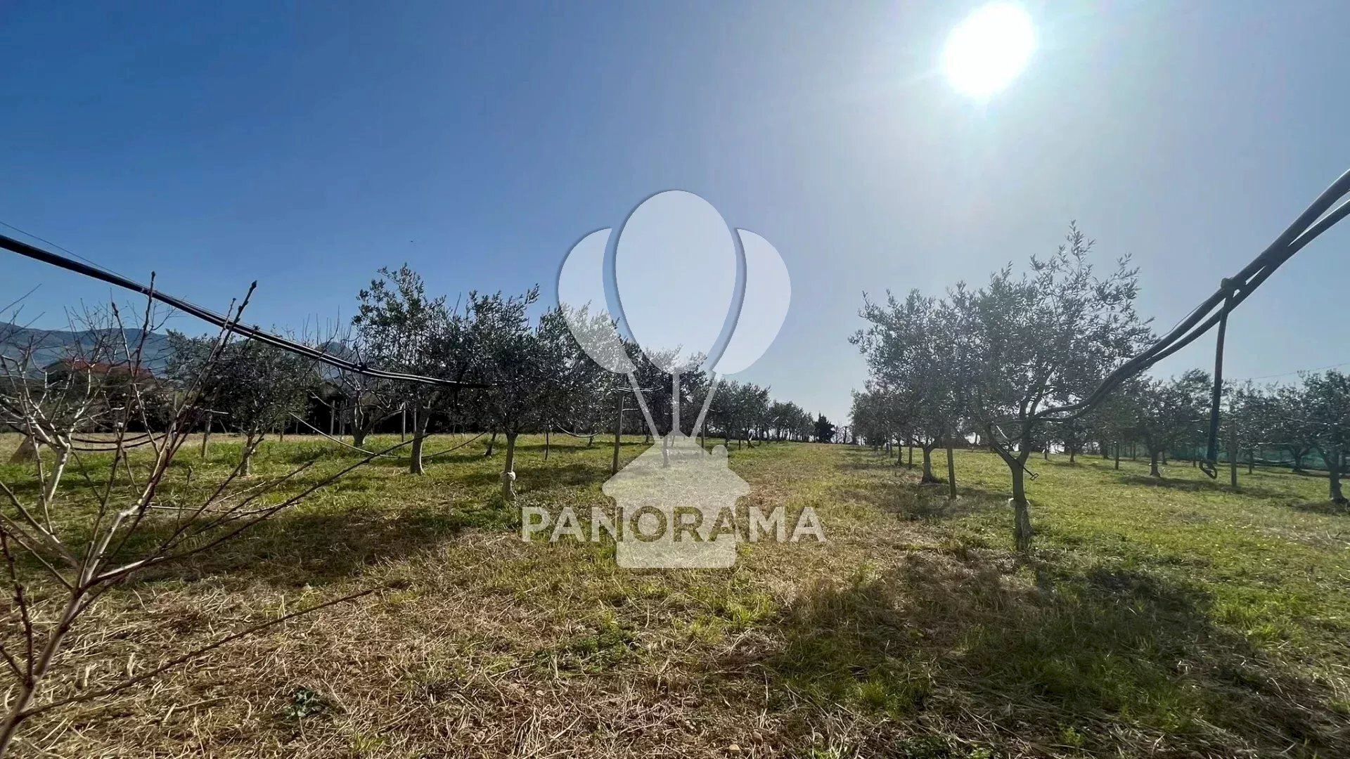 Villa Contrada Grassuri, Partinico - photo 2