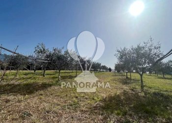 Villa Contrada Grassuri, Partinico - foto 2