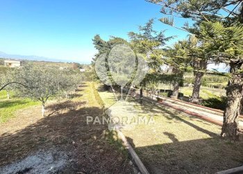 Villa Contrada Grassuri, Partinico - foto 6