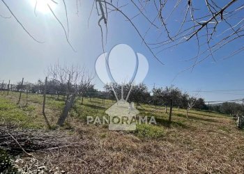 Villa Contrada Grassuri, Partinico - foto 13