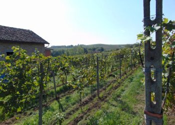 Casa indipendente Asti - foto 35