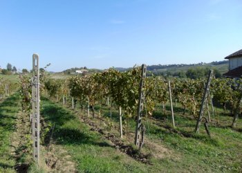 Casa indipendente Asti - foto 36