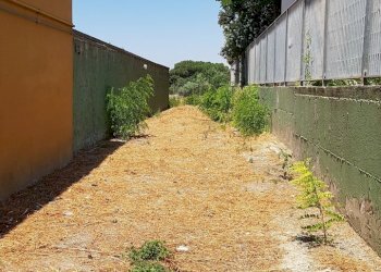 vialetto ingresso da cancello fianco Liceo - Terreno edificabile Cagliari - foto 18