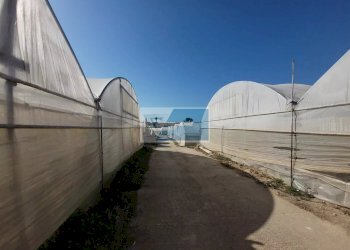 Azienda agricola CONTRADA GRANELLI, Pachino - foto 7