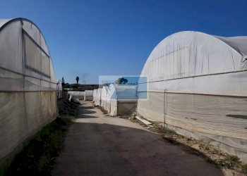 Azienda agricola CONTRADA GRANELLI, Pachino - foto 8