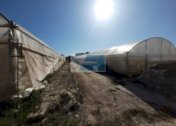 Azienda agricola CONTRADA GRANELLI, Pachino - foto 10