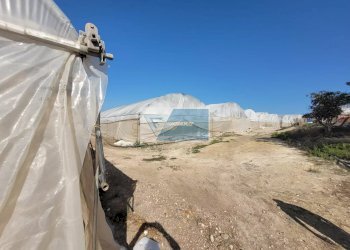 Azienda agricola CONTRADA GRANELLI, Pachino - foto 15