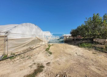 Azienda agricola CONTRADA GRANELLI, Pachino - foto 16