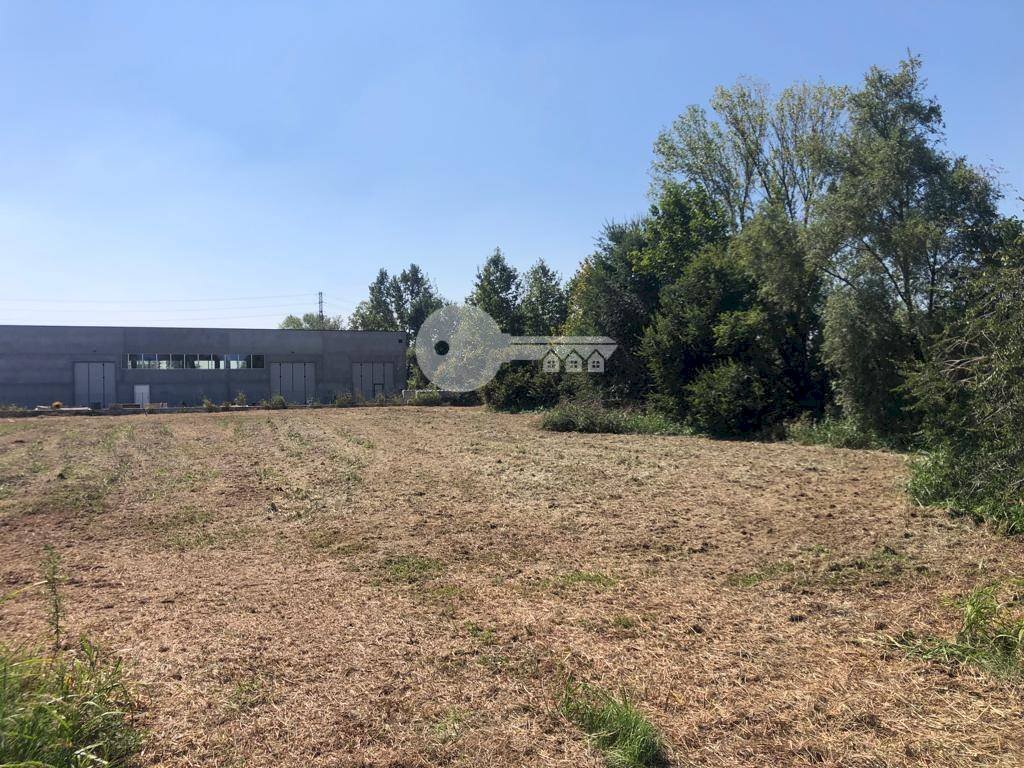 Terreno edificabile Strada Costa, Ghedi - foto 1