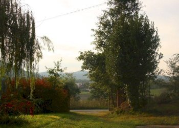 giardino - Rustico via Roma, Mombello Monferrato - foto 45