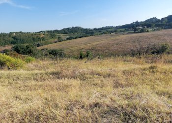 Prato Castel Bolognese - foto 1