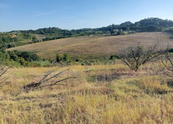 Prato Castel Bolognese - foto 2