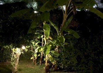 Three-room apartment viale dei pepi, Ospedaletti - photo 6