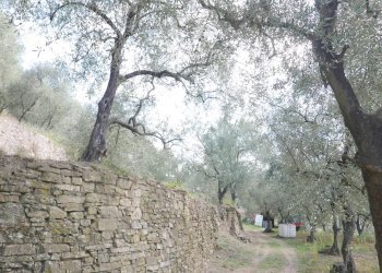 Casa indipendente Apricale - foto 7