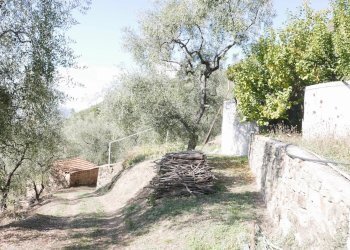 Casa indipendente Apricale - foto 19