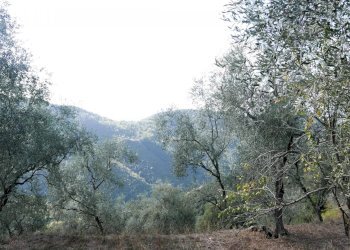 Casa indipendente Apricale - foto 23