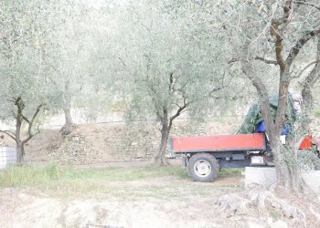 Casa indipendente Apricale - foto 24