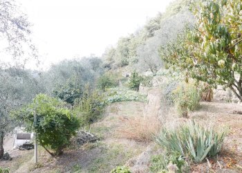 Casa indipendente Apricale - foto 30