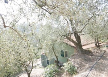 Casa indipendente Apricale - foto 31