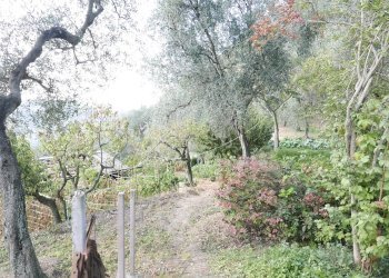 Casa indipendente Apricale - foto 36