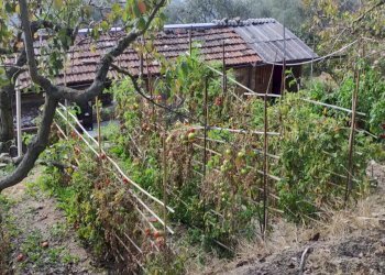 Casa indipendente Apricale - foto 38