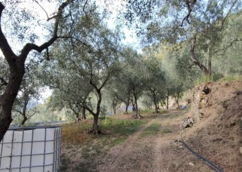 Casa indipendente Apricale - foto 39