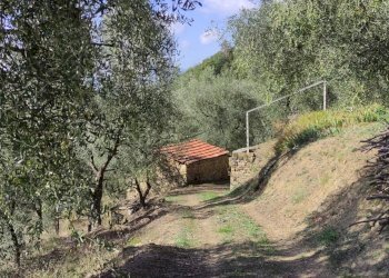 Casa indipendente Apricale - foto 43