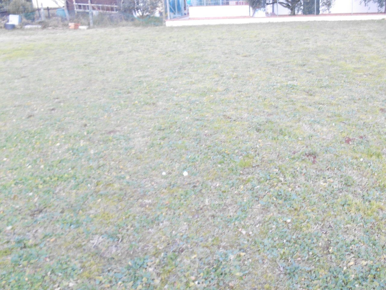 Building land Santarcangelo di Romagna - photo 1