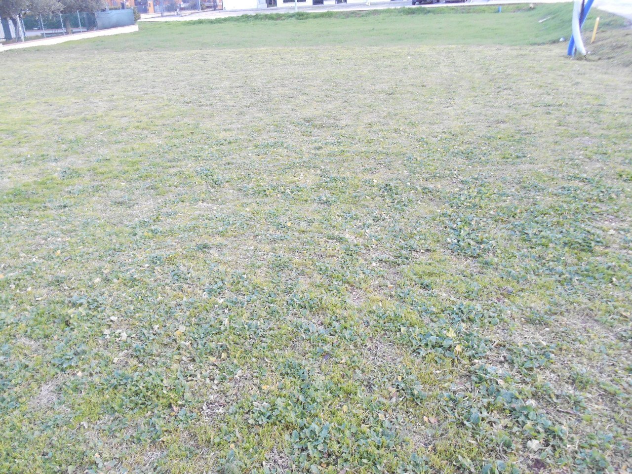 Building land Santarcangelo di Romagna - photo 2