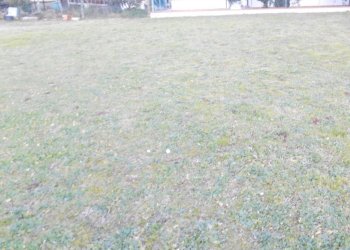 Terreno edificabile Santarcangelo di Romagna - foto 1