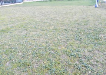 Terreno edificabile Santarcangelo di Romagna - foto 2