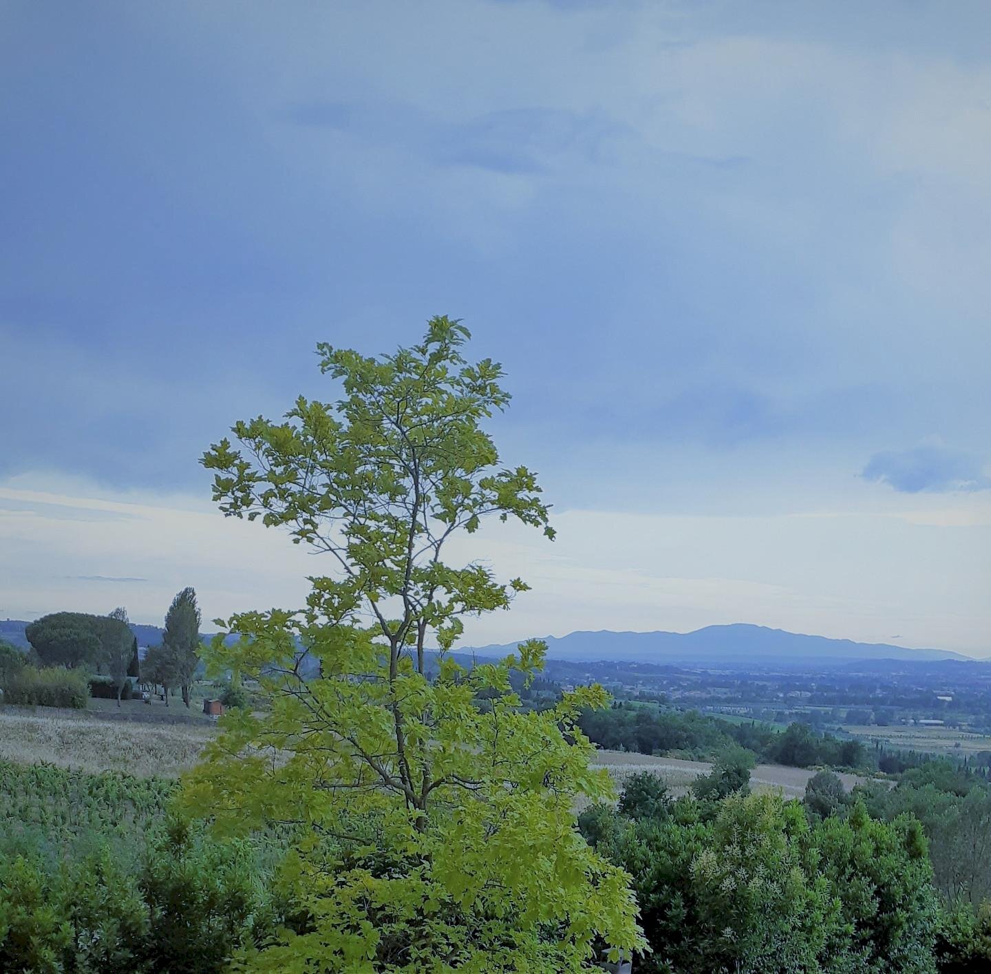 Villa Montelupo Fiorentino - foto 3