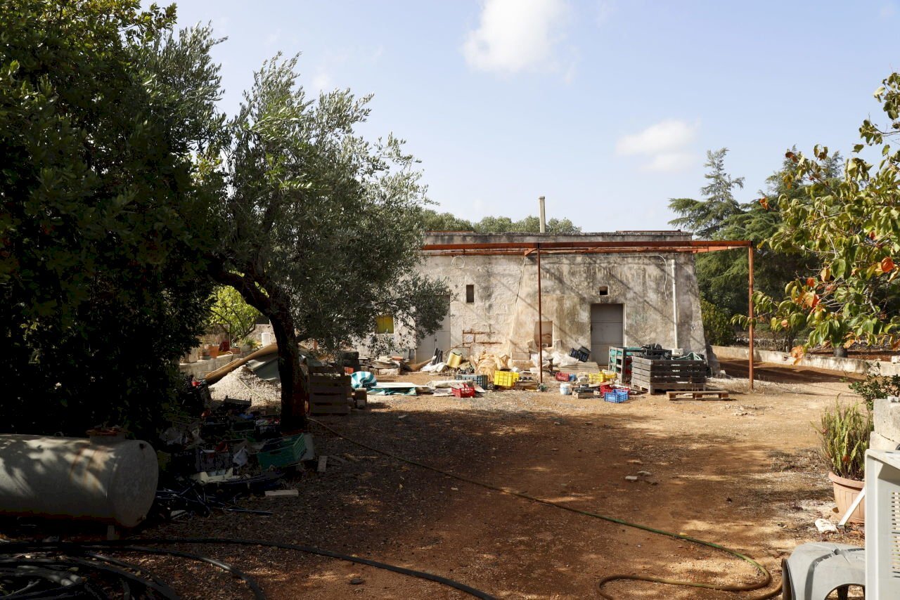 _MG_1912.jpg - Rustico Contrada Tamburroni, Ostuni - foto 2