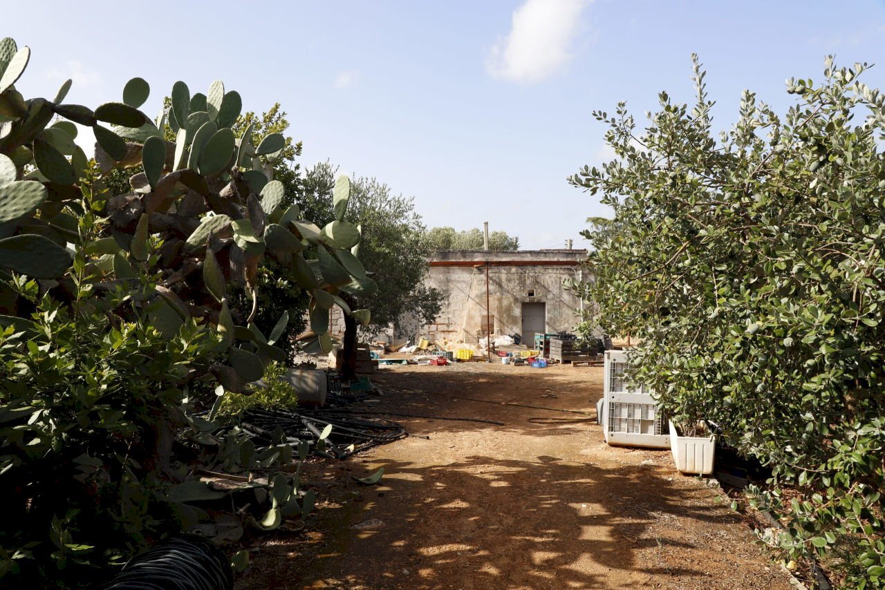 _MG_1914.jpg - Rustico Contrada Tamburroni, Ostuni - foto 3