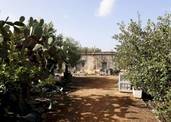 _MG_1914.jpg - Rustico Contrada Tamburroni, Ostuni - foto 3