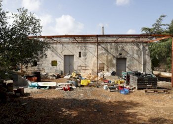 _MG_1877.jpg - Rustico Contrada Tamburroni, Ostuni - foto 6