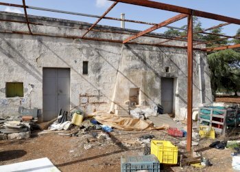 _MG_1879.jpg - Rustico Contrada Tamburroni, Ostuni - foto 7