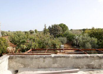 _MG_1902.jpg - Rustico Contrada Tamburroni, Ostuni - foto 11